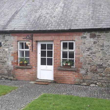 Mogue'S Cottage At Wells House & Gardens Wexford Ngoại thất bức ảnh